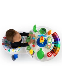 Игрушки для малышей Baby Einstein модель 11311 Фото