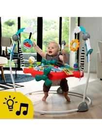 Игрушки для малышей Baby Einstein модель 11710 Фото