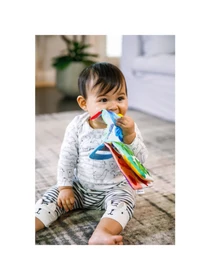 Игрушки для малышей Baby Einstein модель 11794 Фото