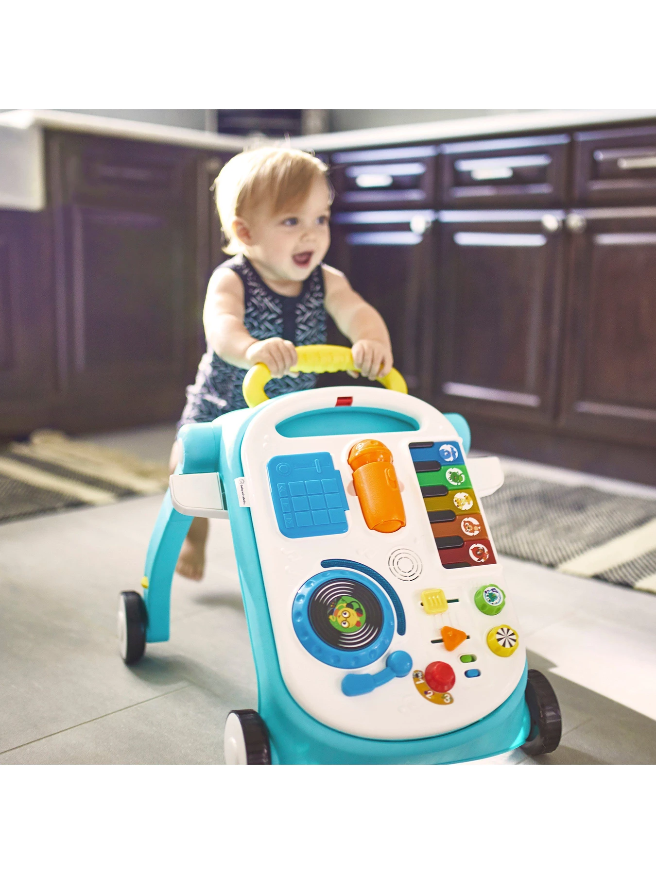 Игрушки для малышей Baby Einstein модель 12045 Фото