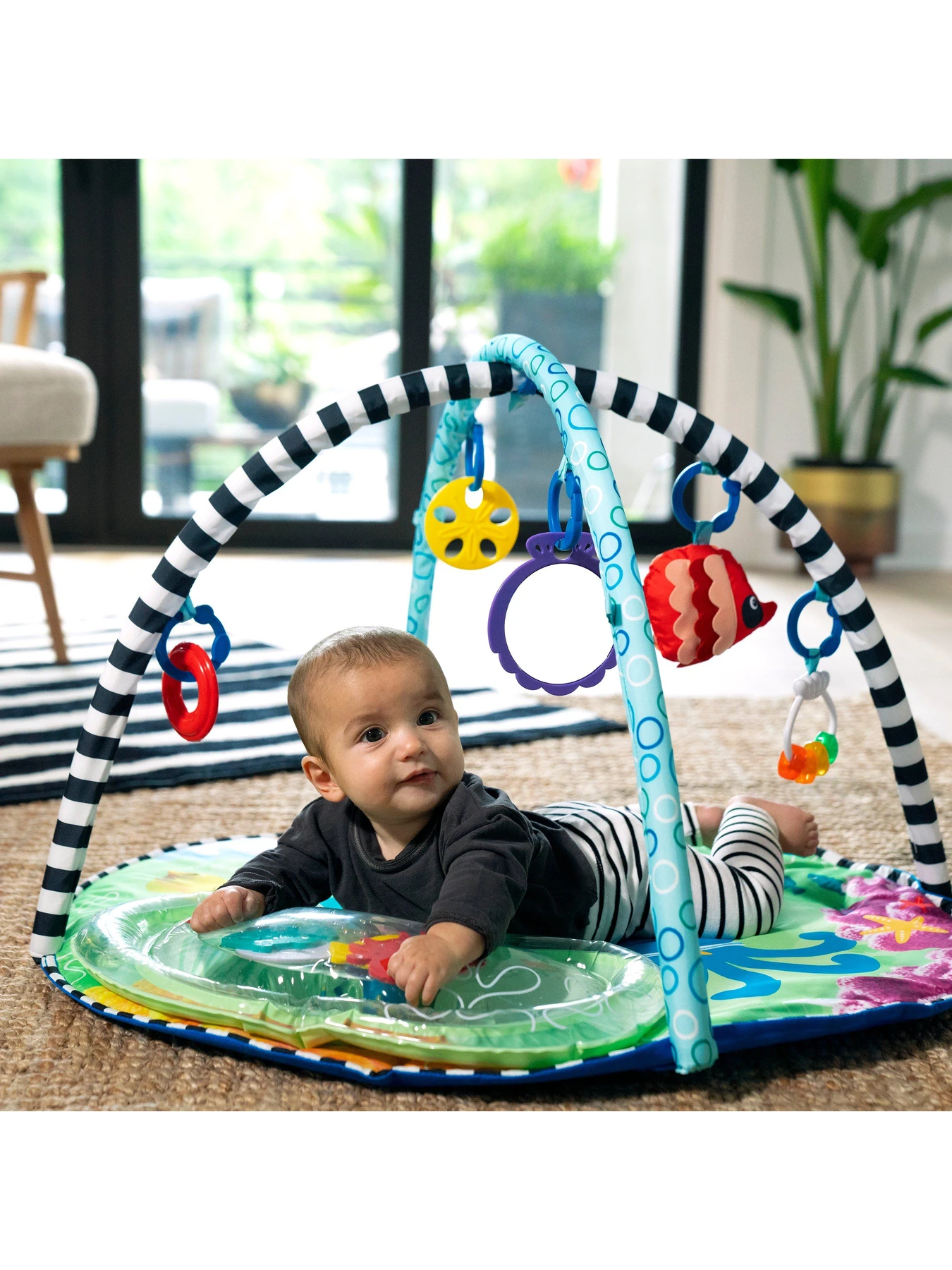 Игрушки для малышей Baby Einstein модель 12807 Фото