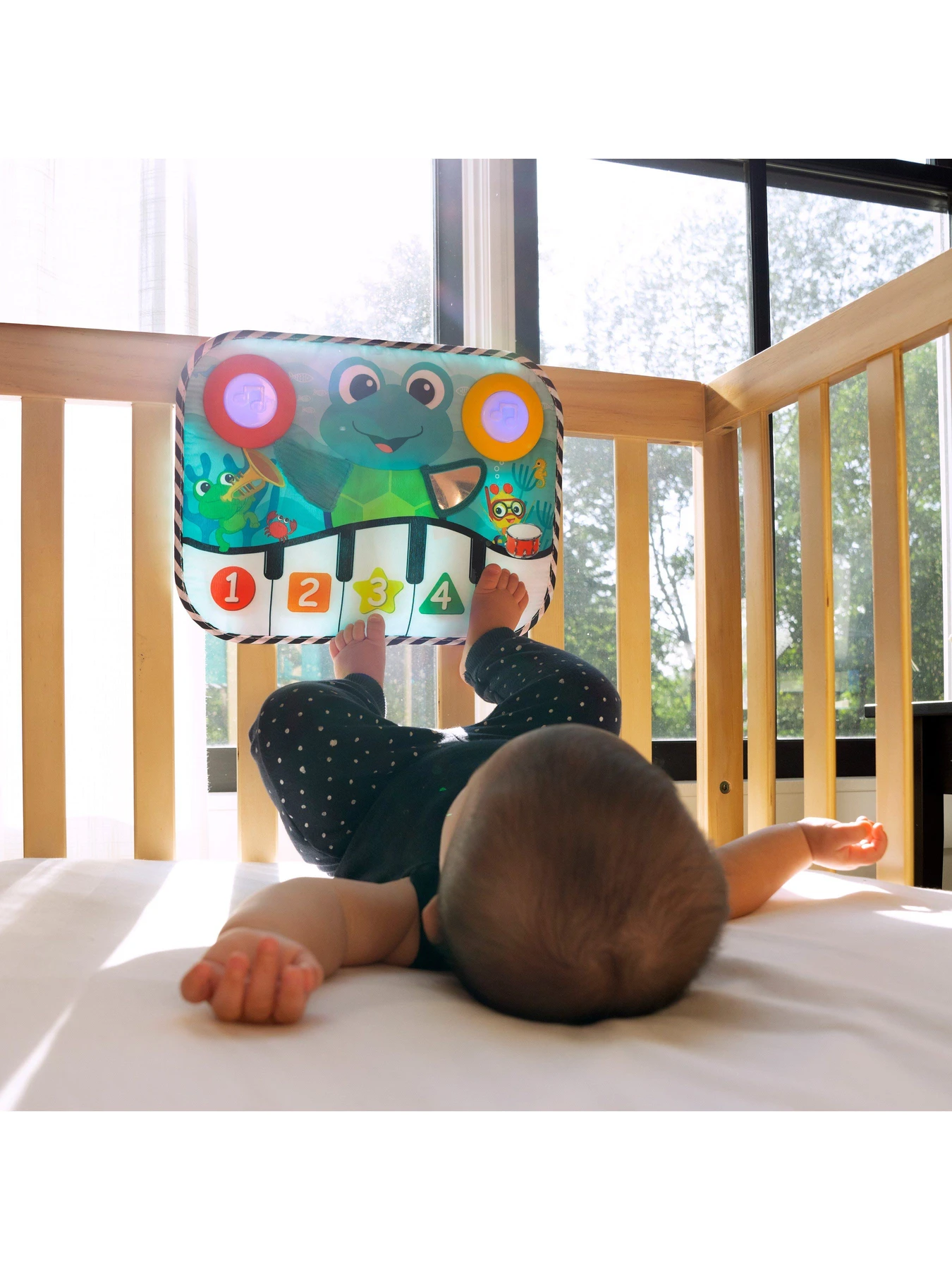 Игрушки для малышей Baby Einstein модель 12926 Фото