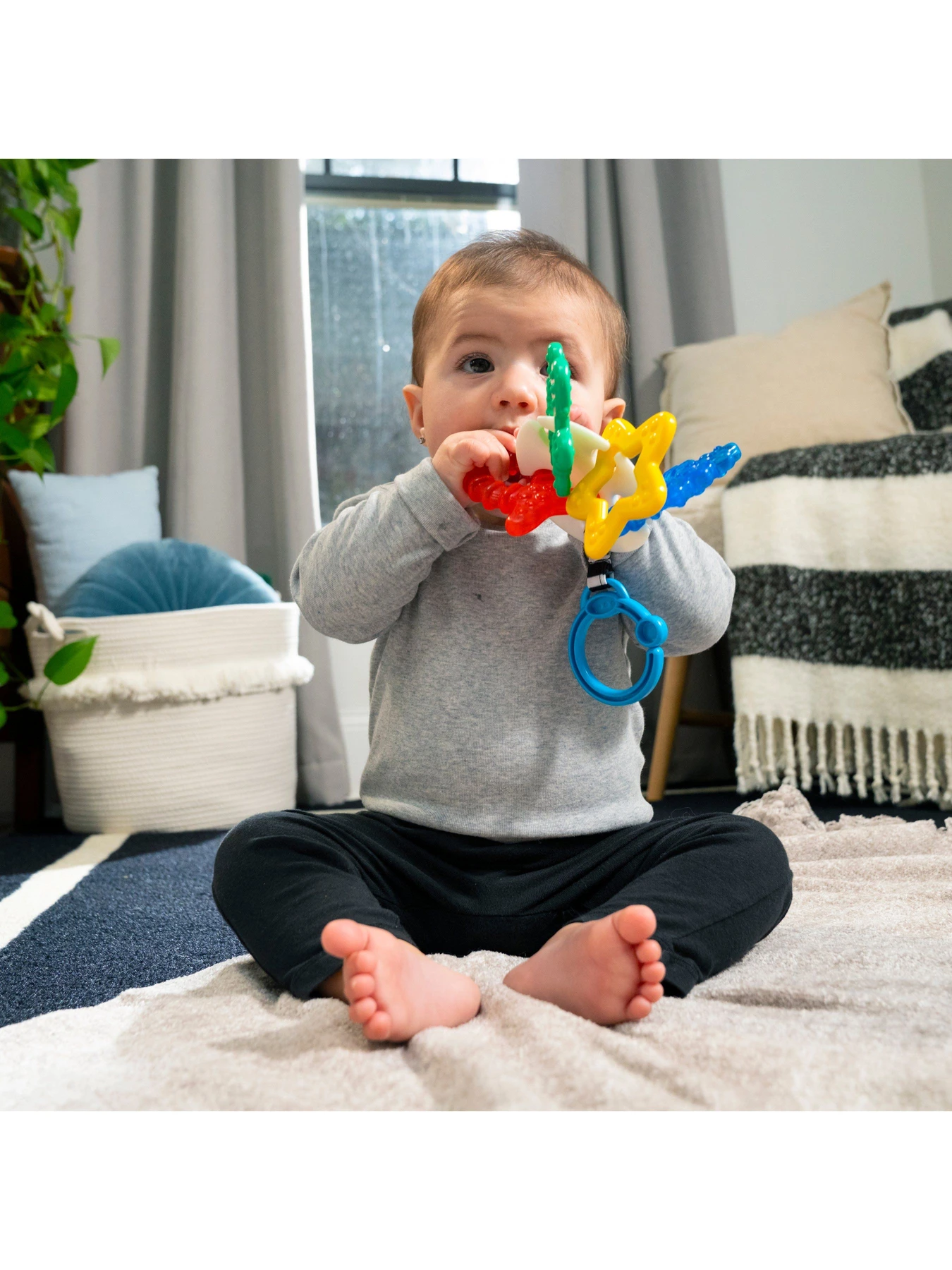 Игрушки для малышей Baby Einstein модель 13158 Фото