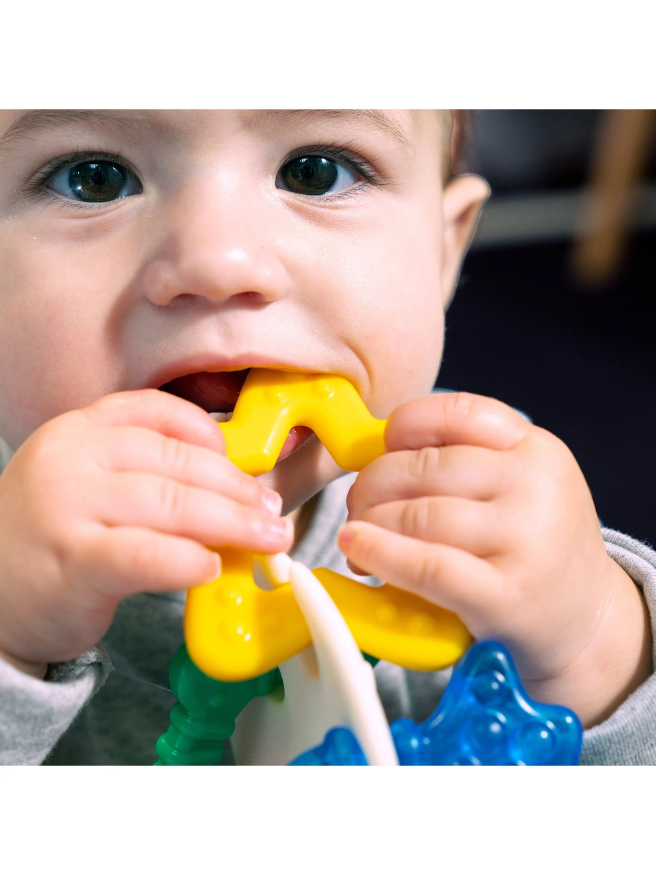 Игрушки для малышей Baby Einstein модель 13158 Фото