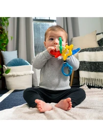 Игрушки для малышей Baby Einstein модель 13158 Фото