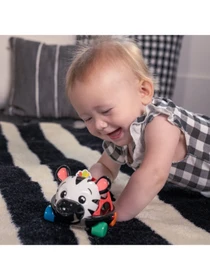 Игрушки для малышей Baby Einstein модель 16772 Фото