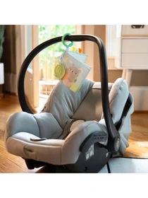 Игрушки для малышей Ingenuity модель 16875 Фото