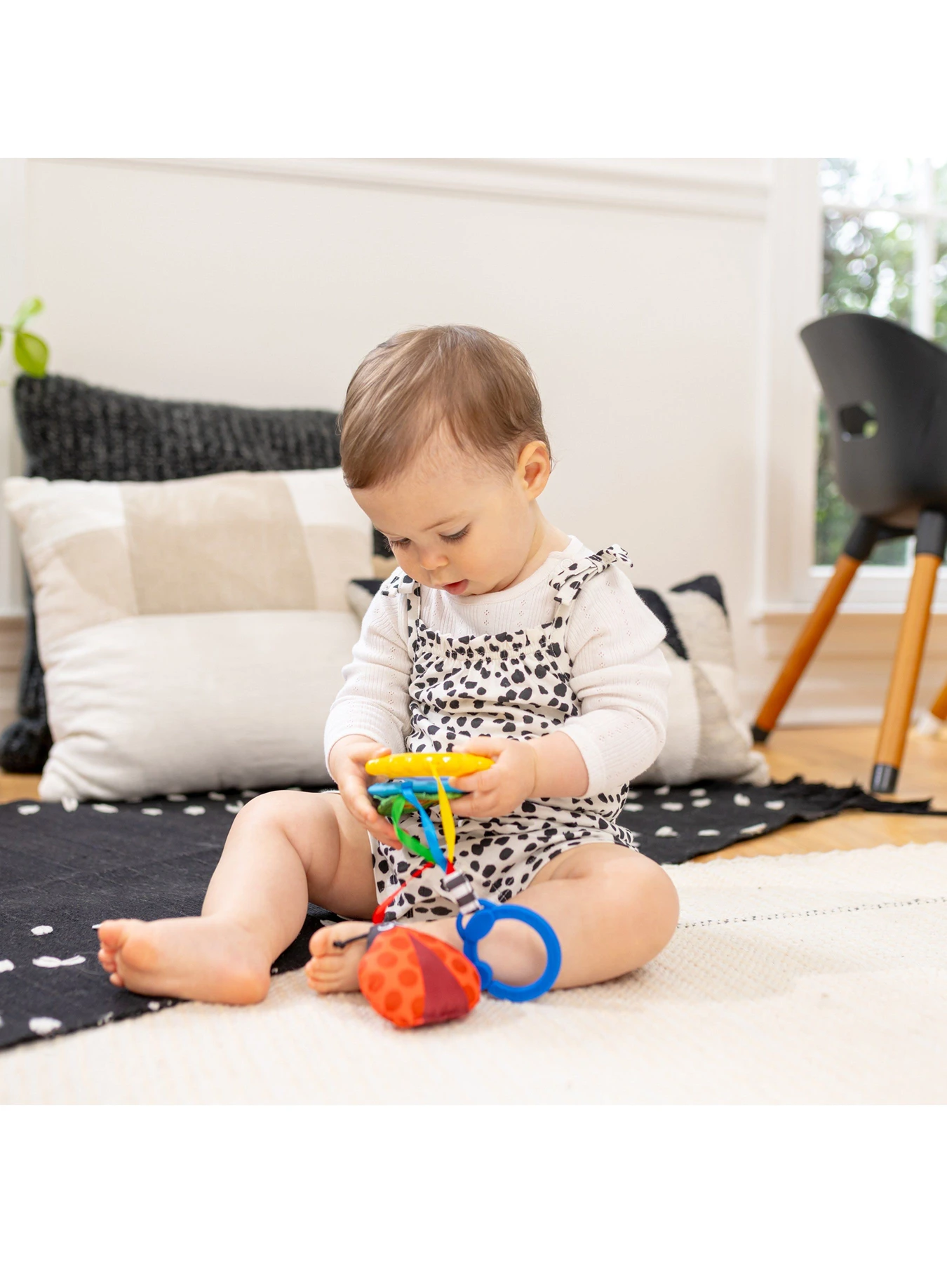 Игрушки для малышей Baby Einstein модель 16886 Фото