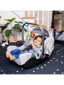 Игрушки для малышей Baby Einstein модель 16886 Фото