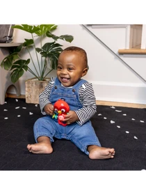 Игрушки для малышей Baby Einstein модель 16888 Фото