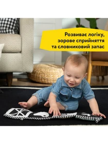 Игрушки для малышей Baby Einstein модель 17303 Фото