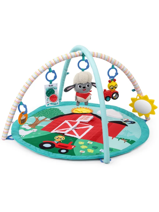 Игрушки для малышей Baby Einstein модель 17326 Фото