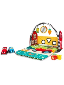 Игрушки для малышей Baby Einstein модель 17327 Фото