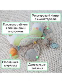 Игрушки для малышей Ingenuity модель 17328 Фото