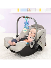 Игрушки для малышей Bright Starts модель 17472 Фото
