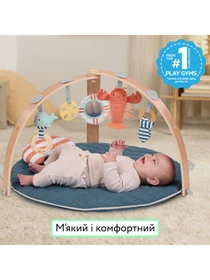 Игрушки для малышей Ingenuity модель 17486 Фото