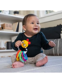 Игрушки для малышей Baby Einstein модель 17496 Фото