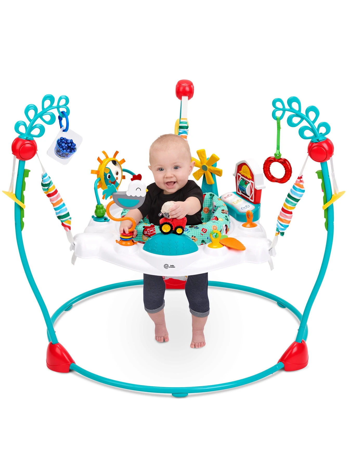 Игрушки для малышей Baby Einstein модель 17515 Фото