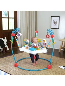 Игрушки для малышей Baby Einstein модель 17515 Фото