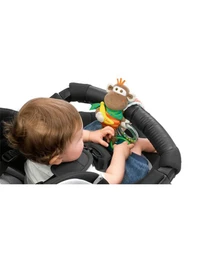 Игрушки для малышей Chicco модель 00907.00 Фото