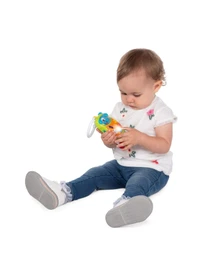 Игрушки для малышей Chicco модель 09708.00 Фото