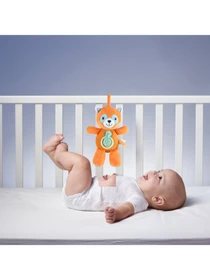 Игрушки для малышей Chicco модель 11042.00 Фото