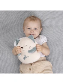 Игрушки для малышей Chicco модель 11567.00 Фото