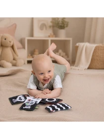 Игрушки для малышей Chicco модель 12551.00 Фото