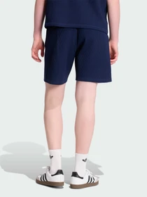 Шорты Adidas модель KT2445 Фото