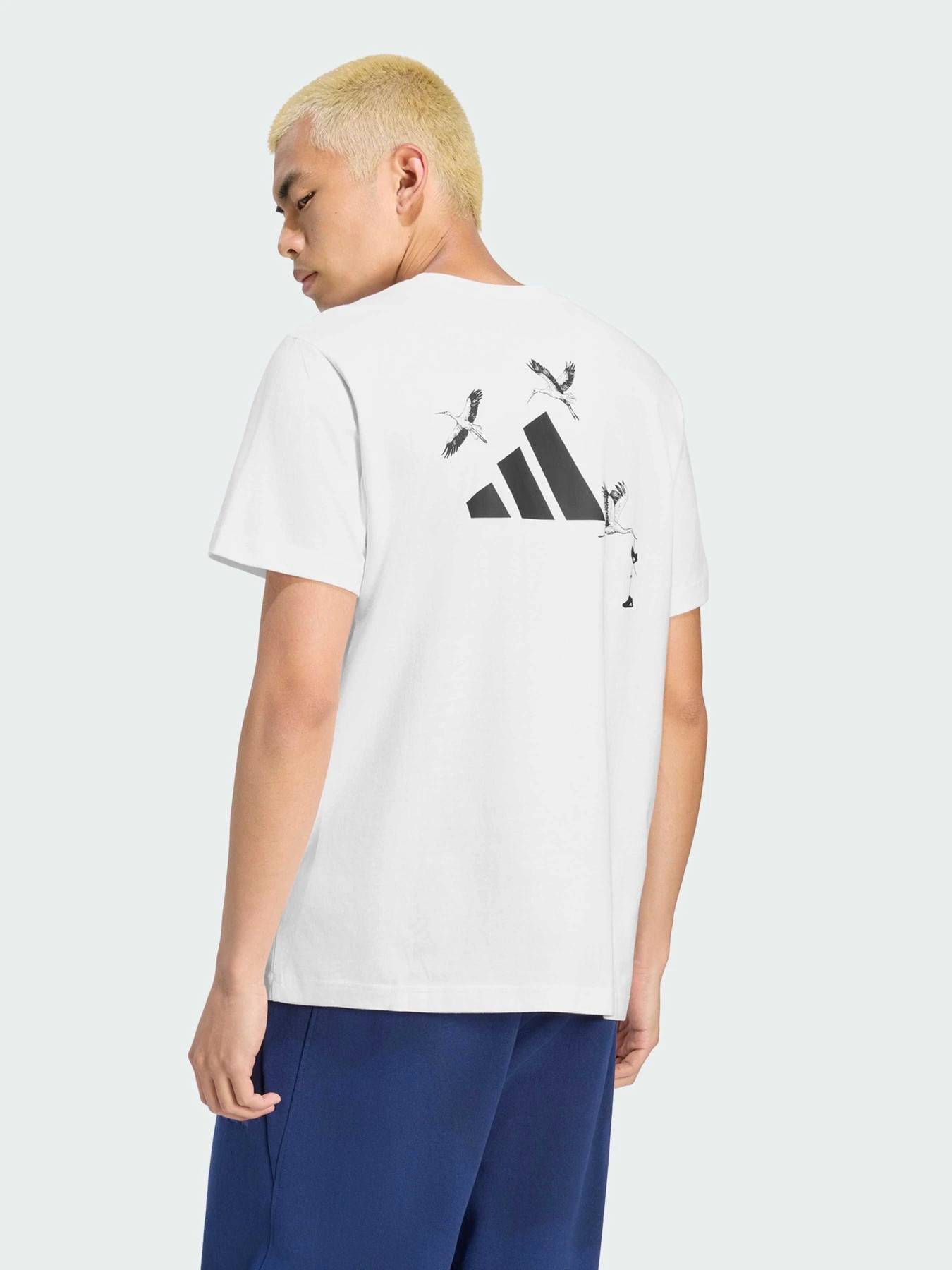 Футболки и поло Adidas модель LF2630 Футболки и поло Adidas модель LF2630 Фото