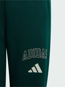 Штани Adidas модель KS5129 Фото