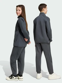 Штани Adidas Adicolor модель KS1704 Фото