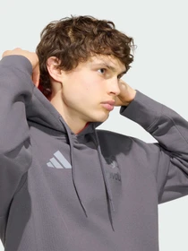 Худі та світшоти Adidas модель KT1725 Фото