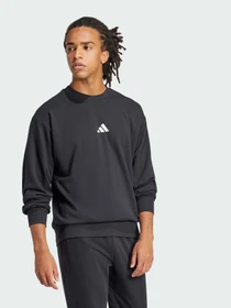Худі та світшоти Adidas Adidas Essentials модель JE3837 Фото