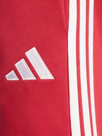 Брюки Adidas модель KG2497 Фото