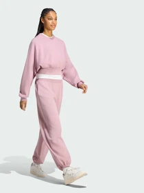 Худи и свитшоты Adidas модель KS5421 Фото