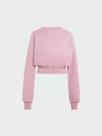 Худи и свитшоты Adidas модель KS5421 Фото