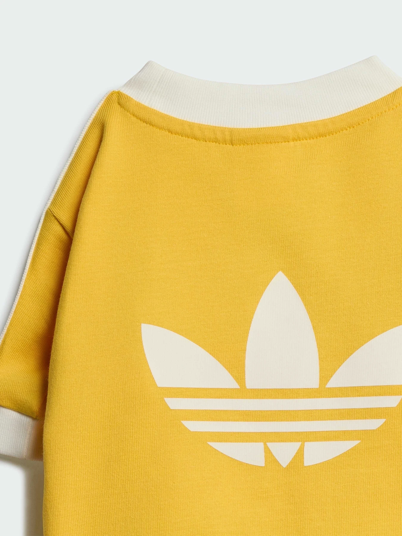 Аксесуари для домашніх улюбленців Adidas модель KY8731 Аксесуари для домашніх улюбленців Adidas модель KY8731 Фото