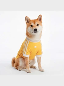 Аксесуари для домашніх улюбленців Adidas модель KY8731 Фото