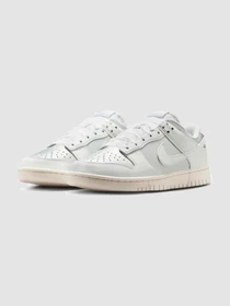 Кроссовки NIKE Dunk Low Next Nature модель IB7311-001 Фото