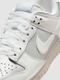 Кроссовки NIKE Dunk Low Next Nature модель IB7311-001 Фото