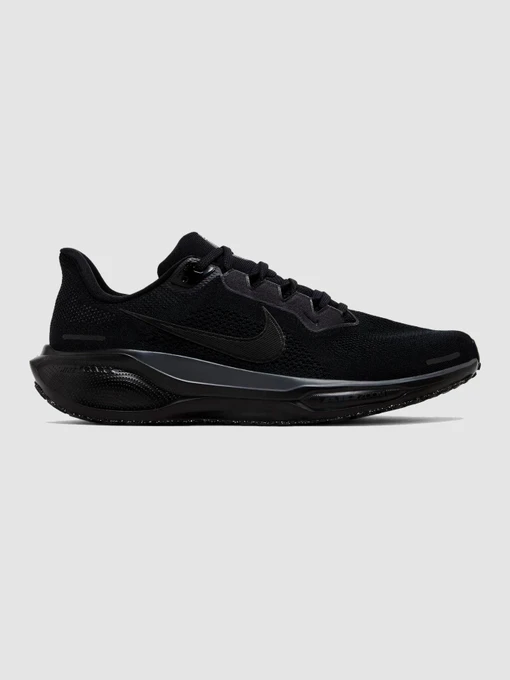 Кросівки NIKE Air Zoom Pegasus 41 модель FD2722-001 Фото