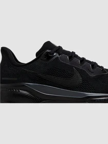 Кросівки NIKE Air Zoom Pegasus 41 модель FD2722-001 Фото