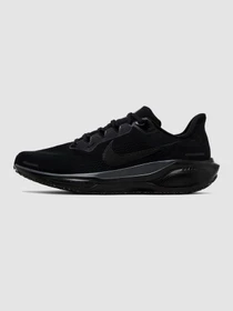 Кросівки NIKE Air Zoom Pegasus 41 модель FD2722-001 Фото